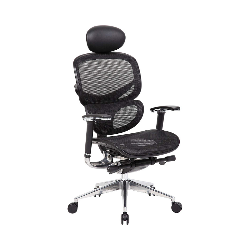 ErgoMax Pro Chair